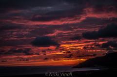 118 Nicki Vinall Sunrise over Hurlstone Point from West Porlock.