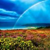 1308-robert-hatton-rainbow-over-porlock