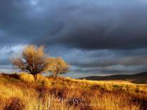 1708-julia-amies-green-dramatic-light-on-the-moor-during-sunset-in-stormy-weather