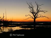 2108-phil-taphouse-sunset-at-porlock-marsh