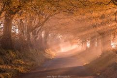 601-john-spurr-autumn-light-on-an-exmoor-lane