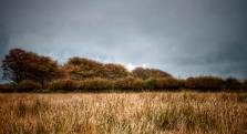 816-linda-thompson-autumn-with-rain-clouds-on-exmoor