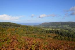 836-leanna-coles-enjoying-the-first-of-the-autumn-colours-near-webbers-post