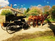 141-stuart-harrison-middle-week-horse-drawn-carriage