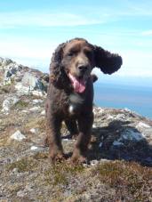 20 Julie Scott 10 year old Murphy on this year's annual visit to our Paradise that is Exmoor